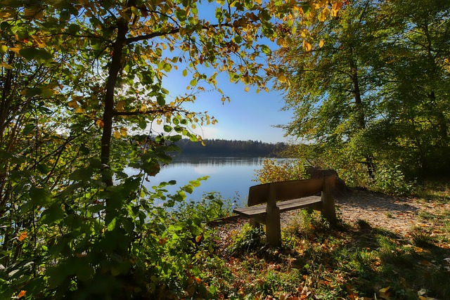 的命中率 的命中率